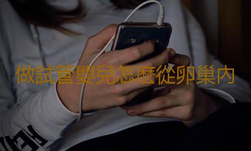 做試管嬰兒怎麽從卵巢內取卵子?